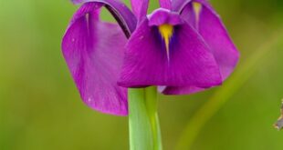 1001tedarik ile her zaman yanınızdayız