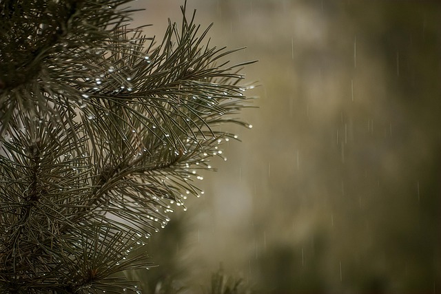 Eşsiz ürünlerle dolu bir dünyaya adım atın 1001tedarik’te
