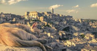 İhtiyaçlarınıza özel çözümler için 1001tedarik’i tercih edin